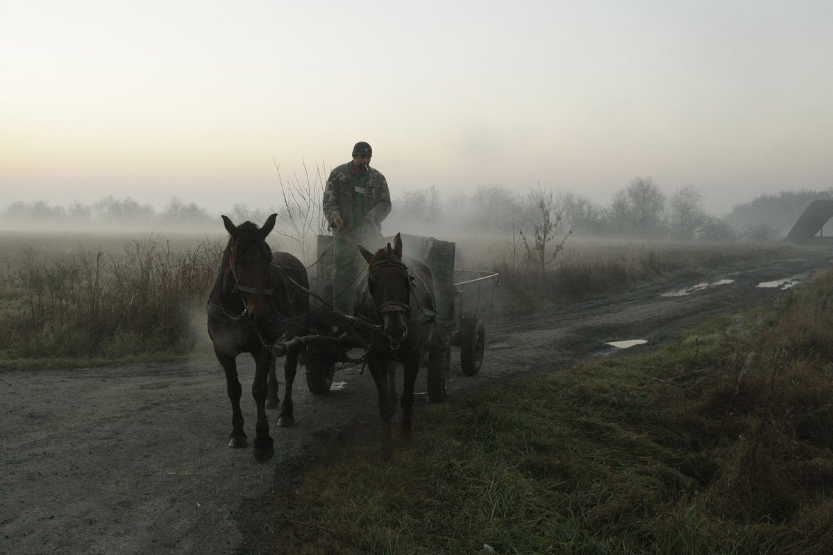 阪口　克 tweet media