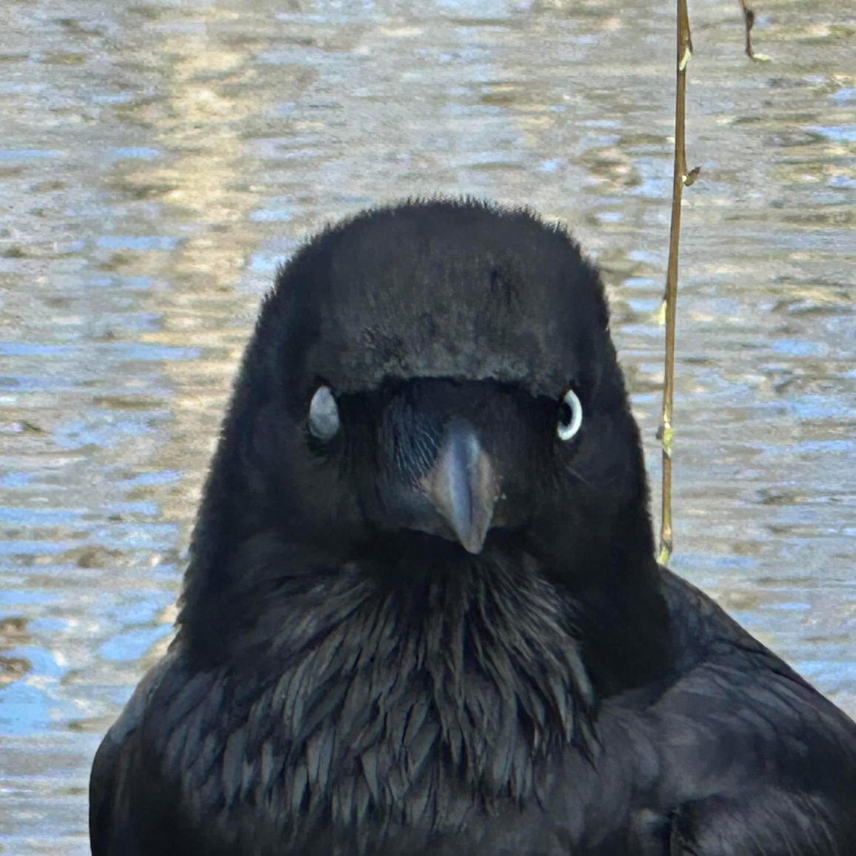 Gregory J O'Flaherty 💧💦 tweet media