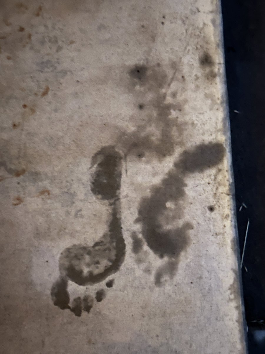 Gregory J O'Flaherty 💧💦 tweet media