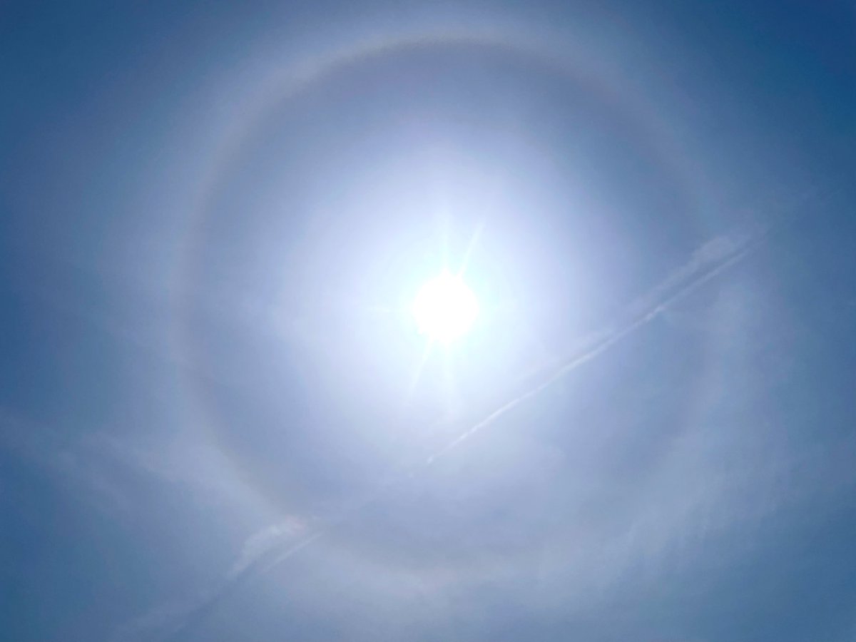 なみお tweet media