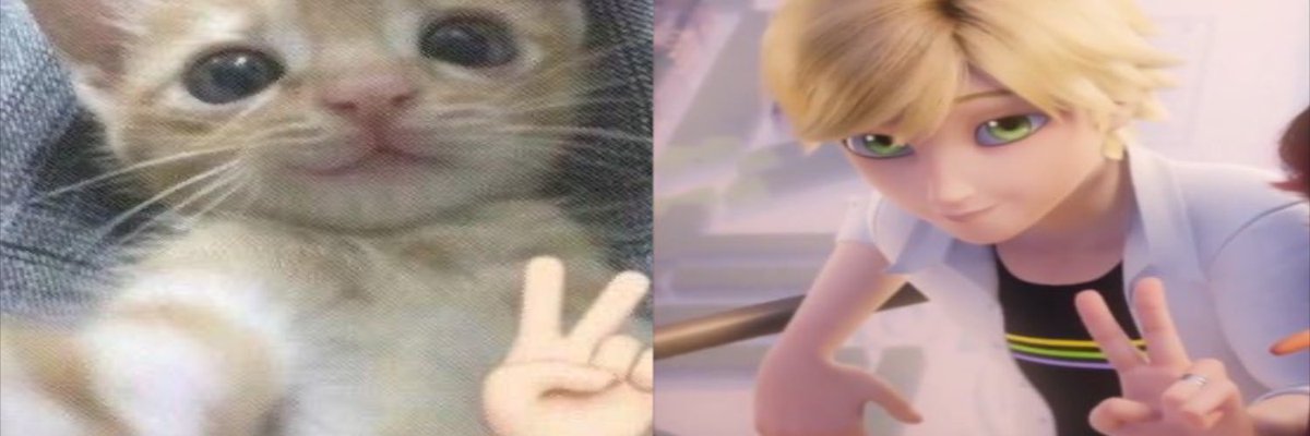 genderfluid adrien truther tweet media