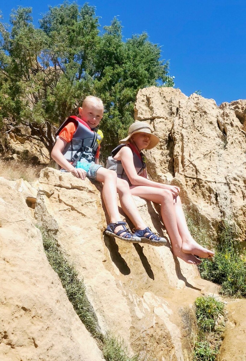 KSL 5 TV tweet media