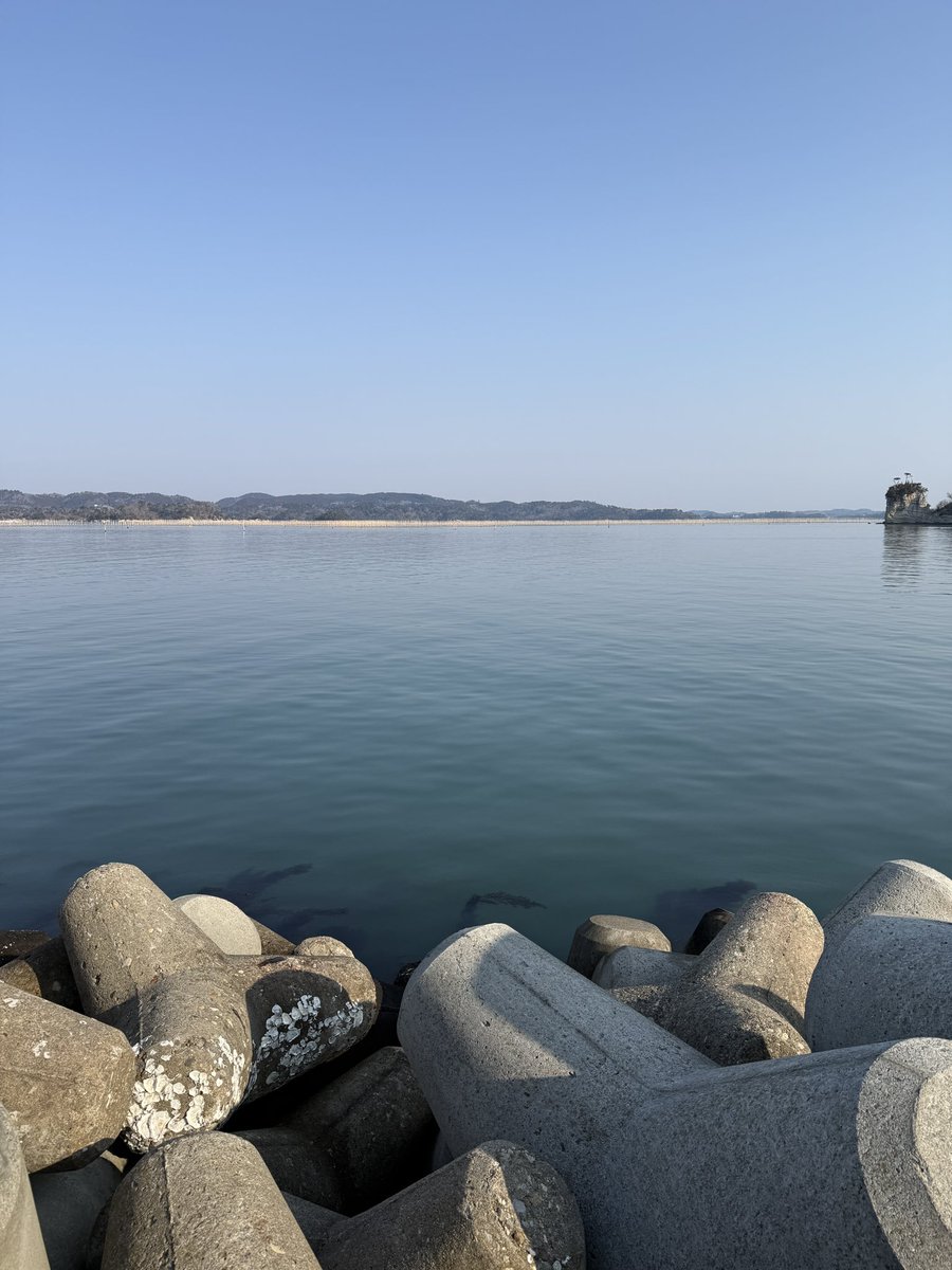 福井大輔 | 株式会社未来企画 代表 tweet media