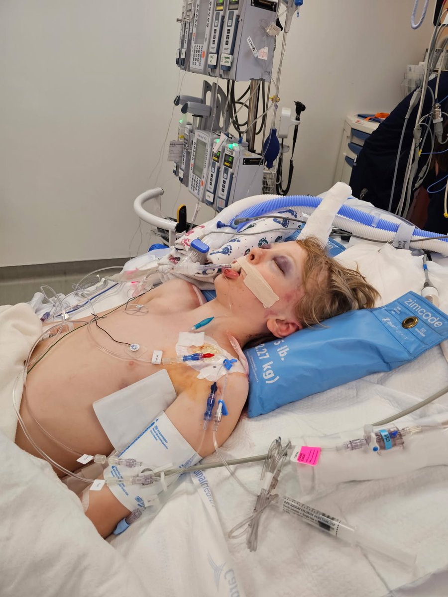 KSL 5 TV tweet media