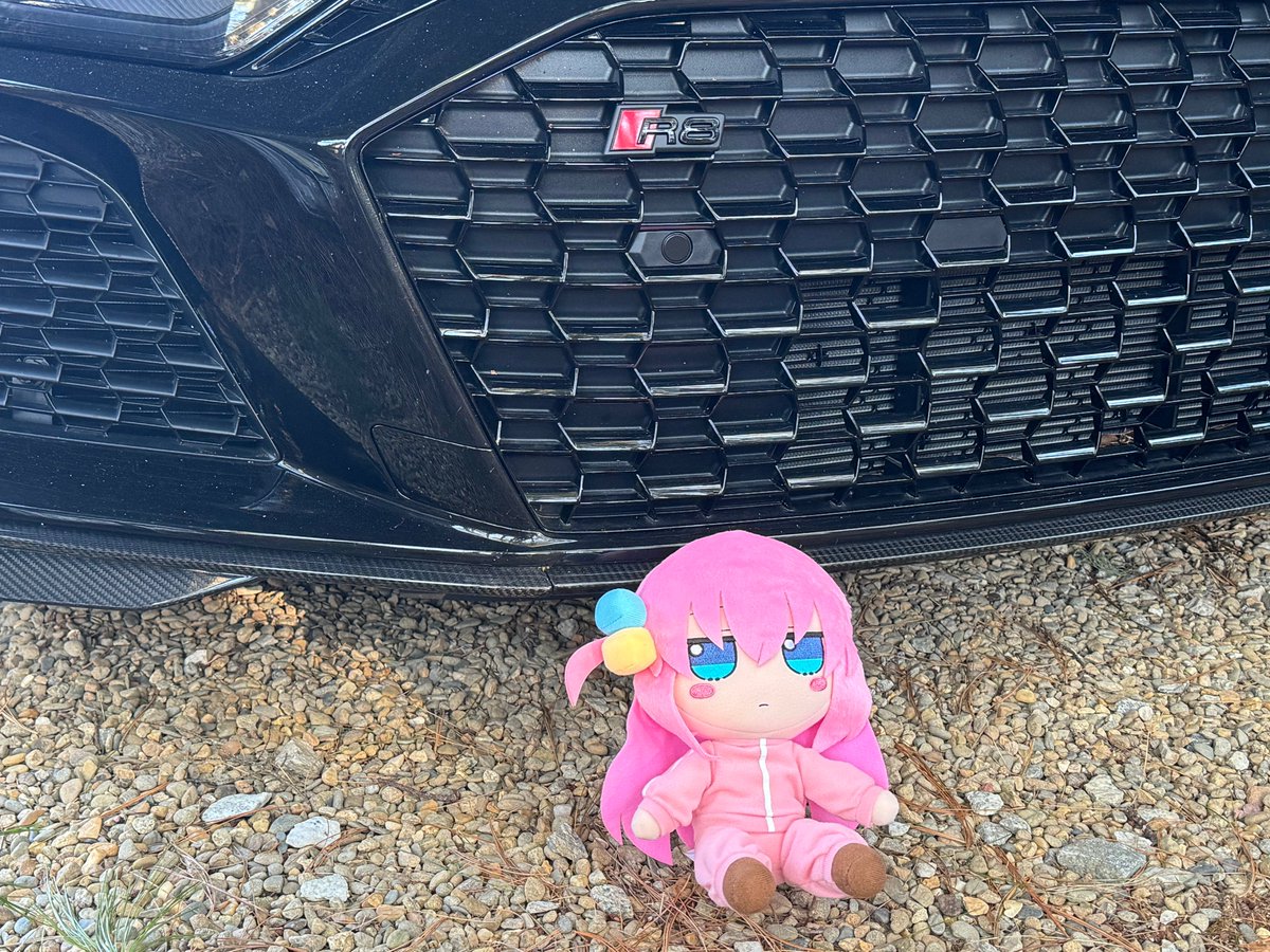 Grey-Dee! tweet media