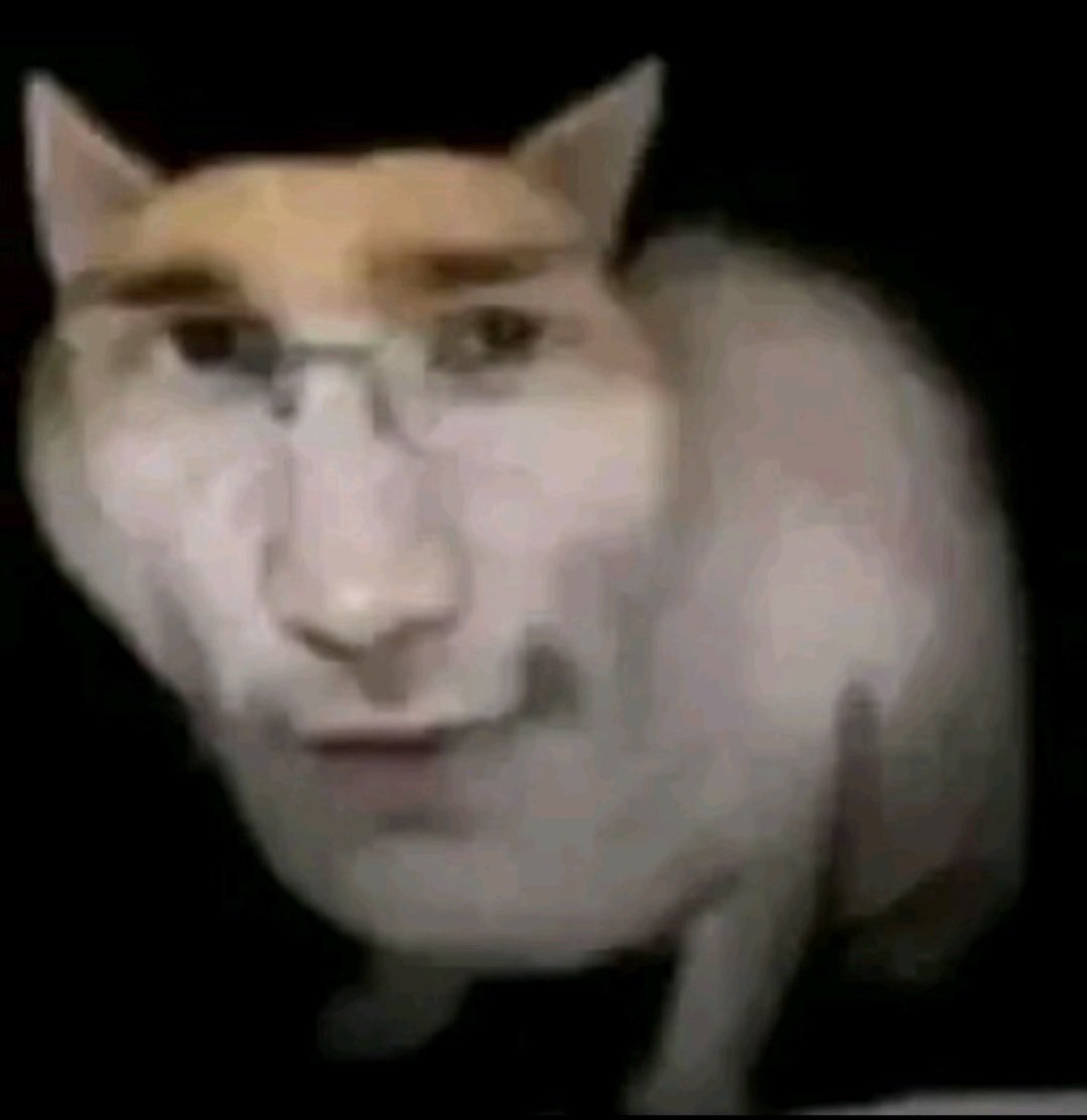 ₊ ✚ bugbug ✚ ₊ tweet media