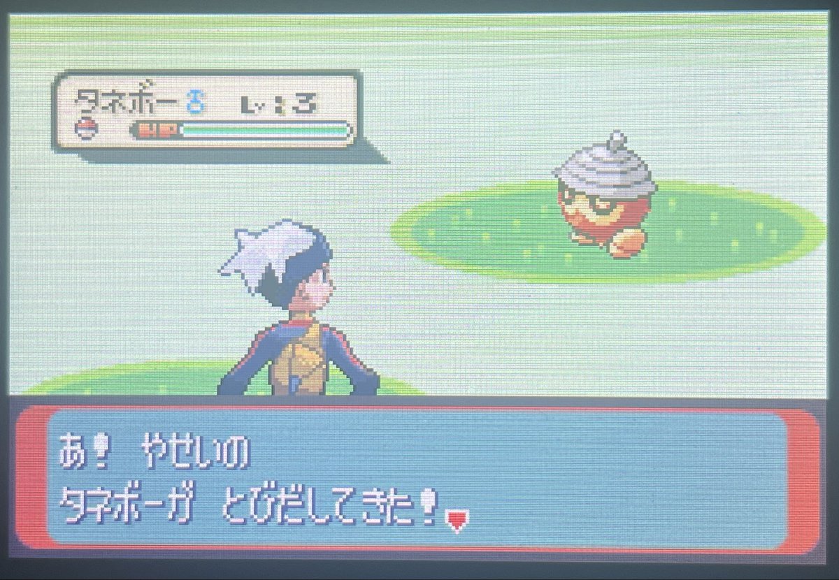ShinyHunter_DD tweet media