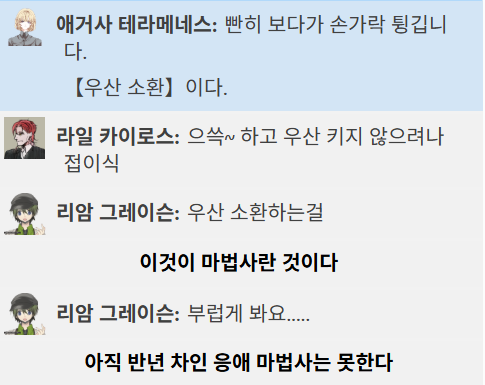 전업 마법사놀이