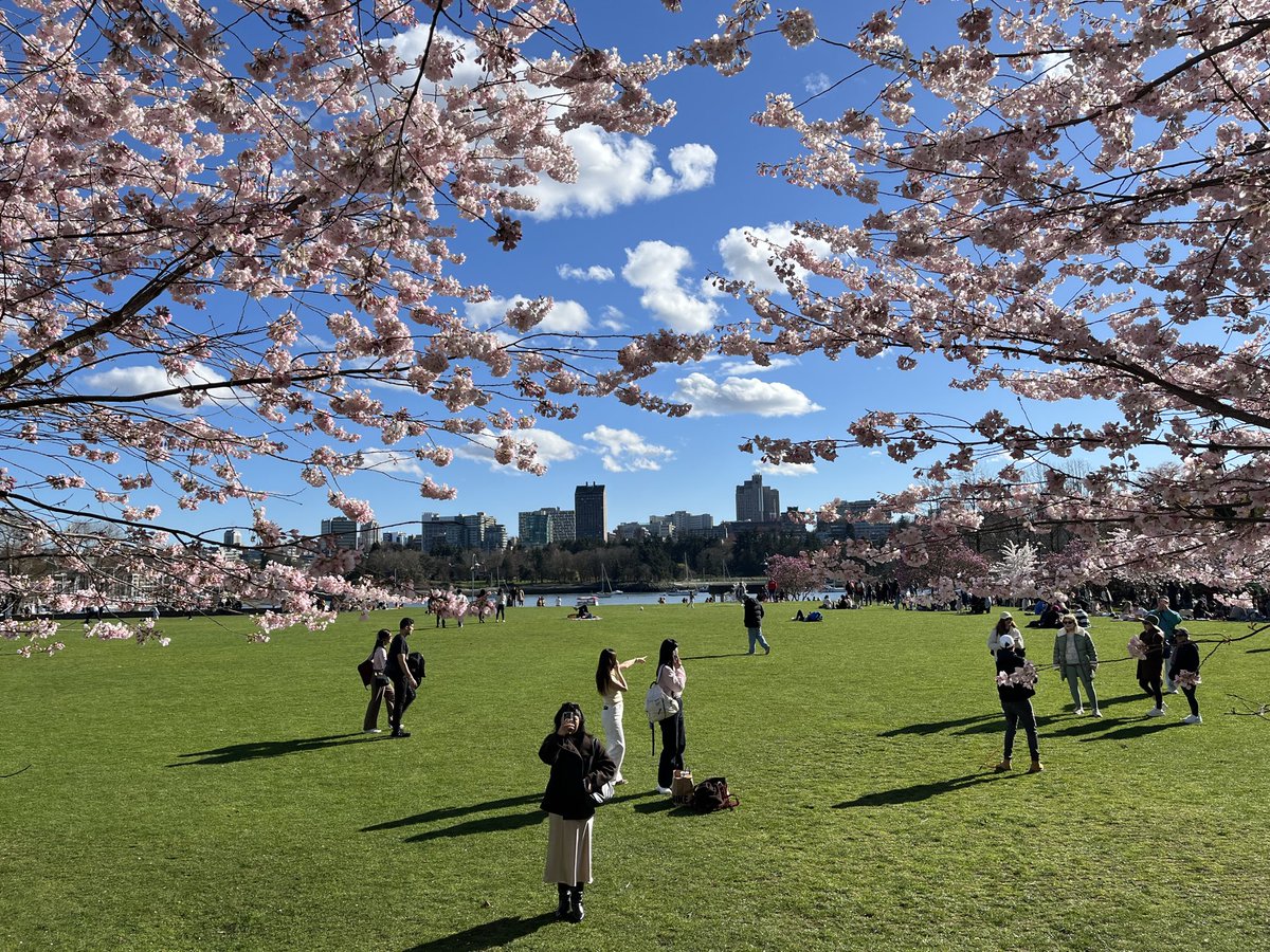 lou ᜎᜓᜂ tweet media