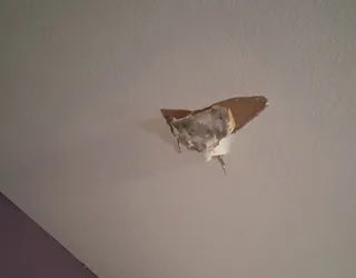 Zen✨WECK tweet media