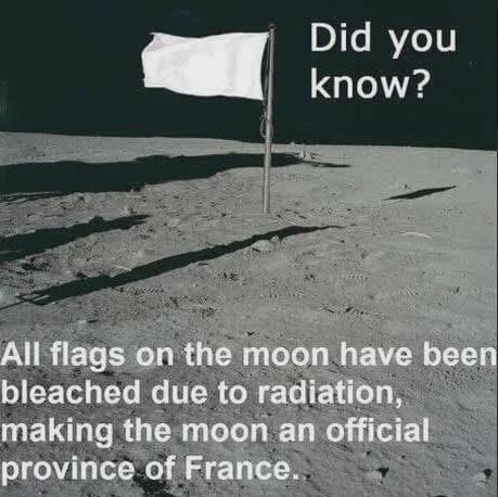 Rothmus 🏴 tweet media