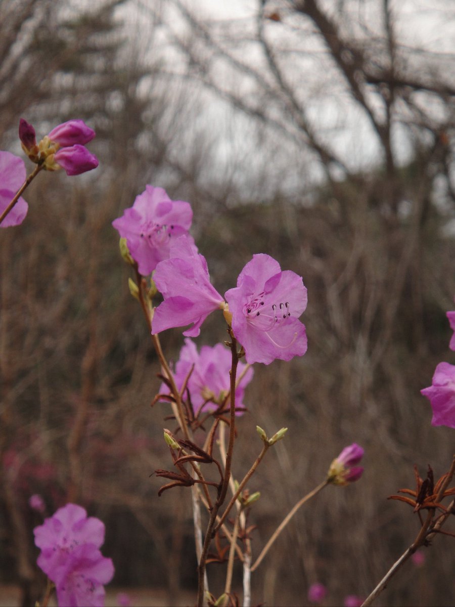 백설기콩떡🍮🍨 tweet media