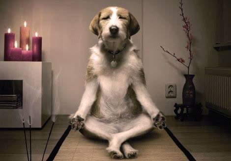 daniel 🇨🇴🇺🇸(existential OCD era) tweet media