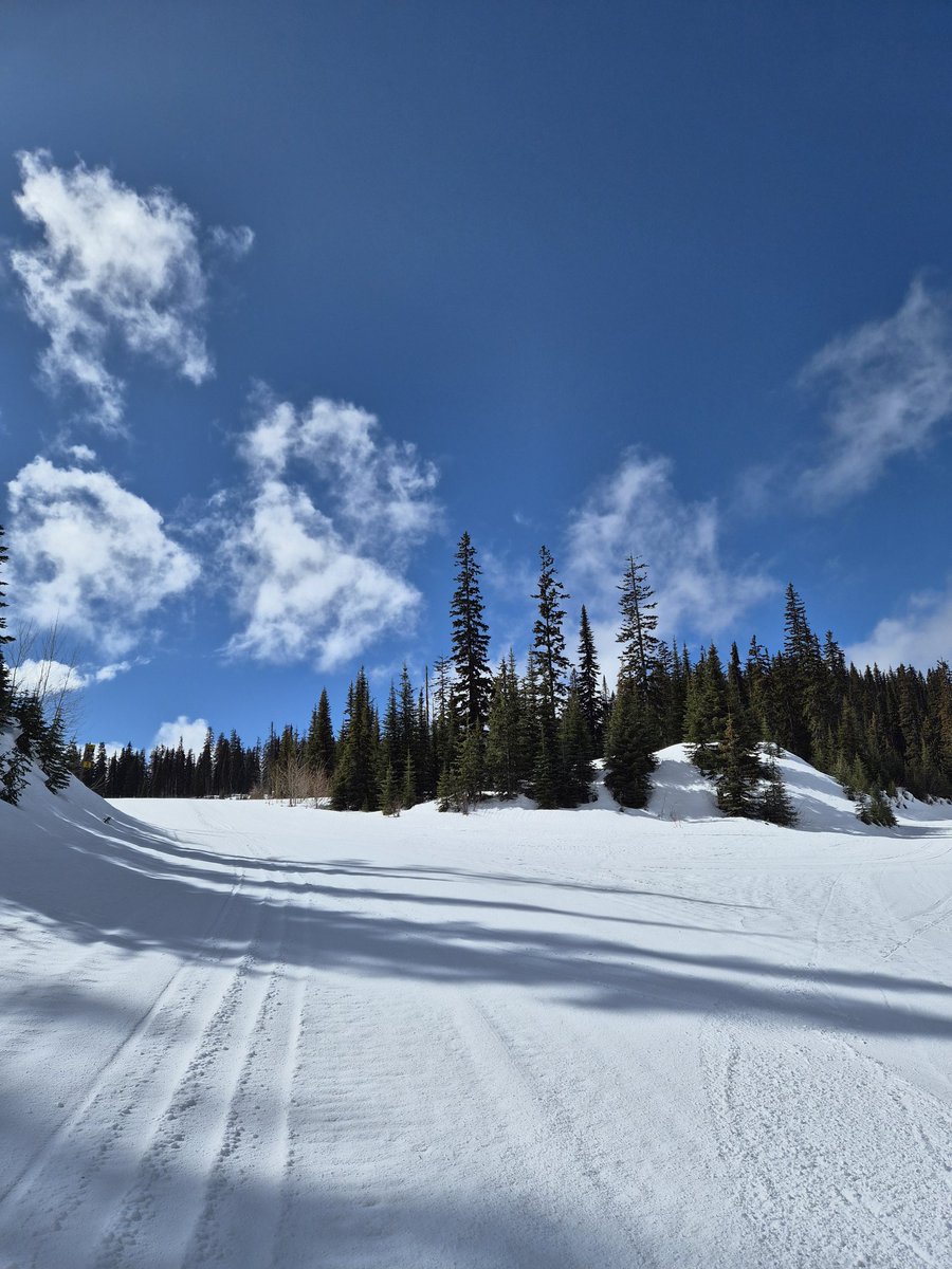 베가스부부™ (前Bryan&Tiffany) tweet media