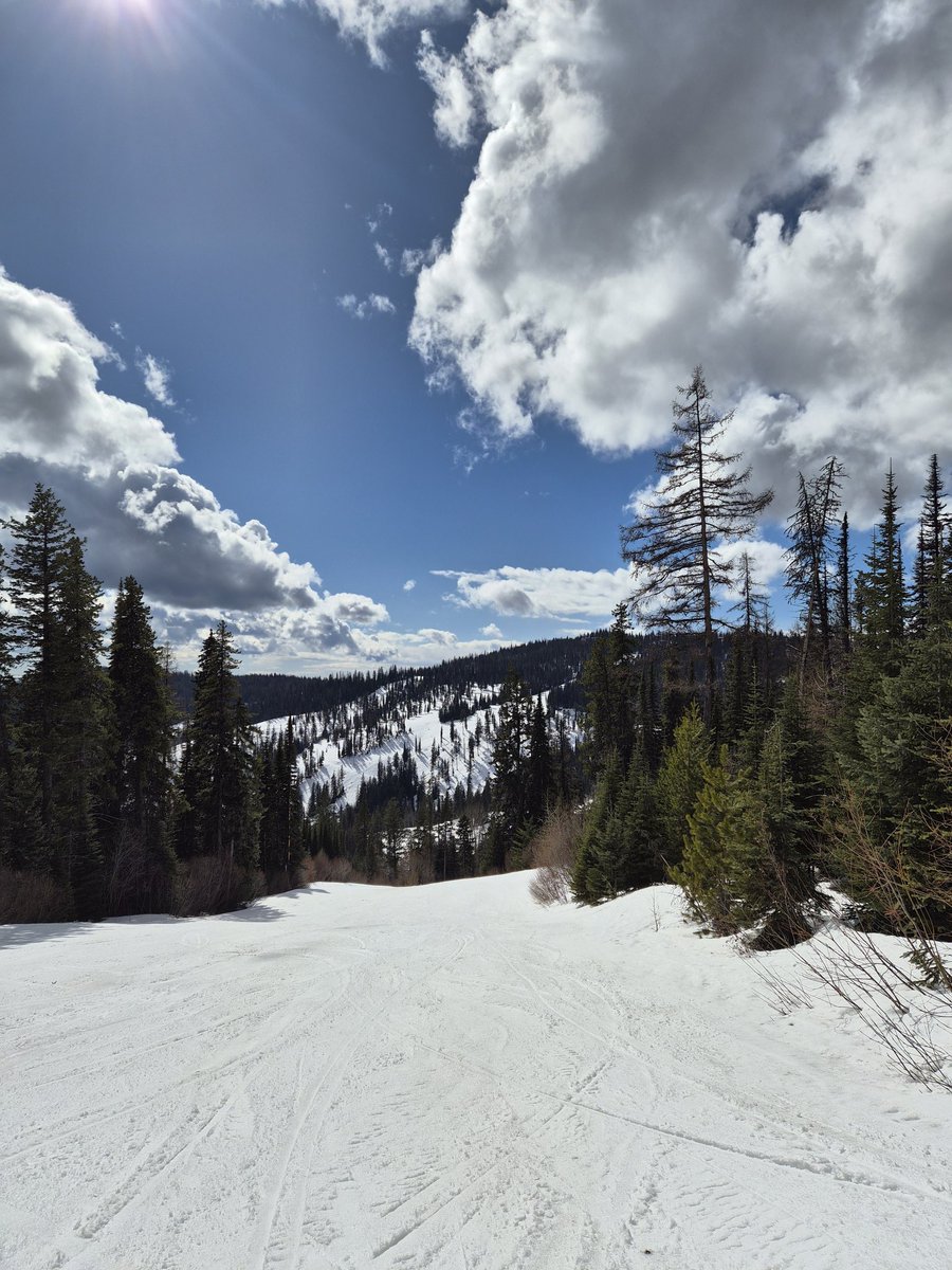 베가스부부™ (前Bryan&Tiffany) tweet media