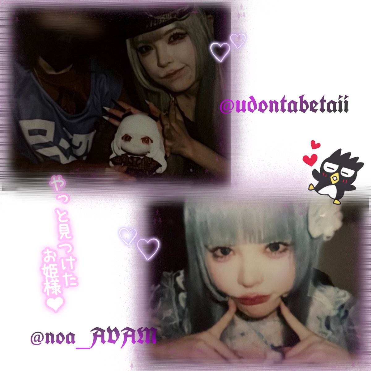 n0q35's tweet image. .*･ﾟ𝑇𝑎𝑔.ﾟ･*.

♥ or ↪︎ でお迎えさせて頂きます❤︎

ALT有 ̖́-

#AVAM好きな人と繋がりたい
#PMさんと繋がりたい 
#AVAM
#おいしいねこうどん