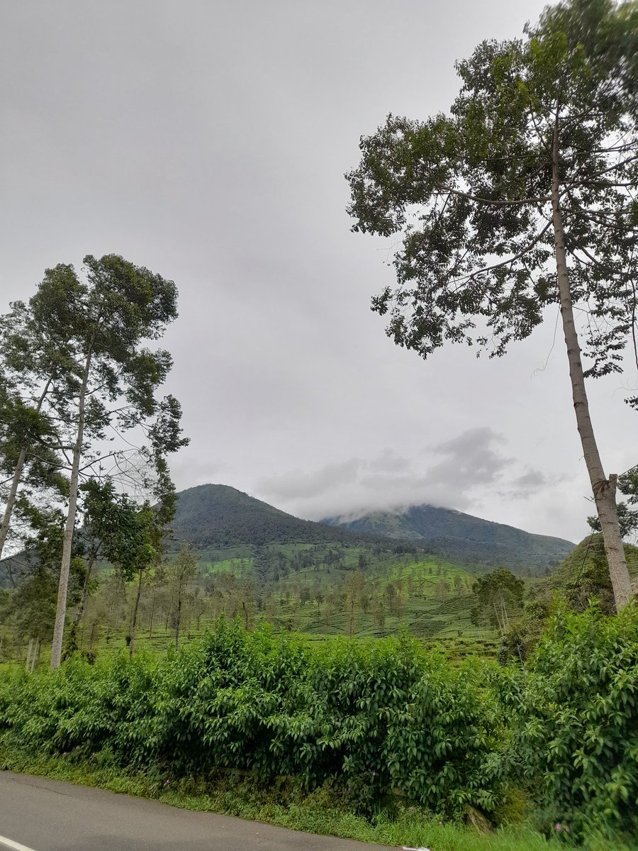 tukang jajan tweet media