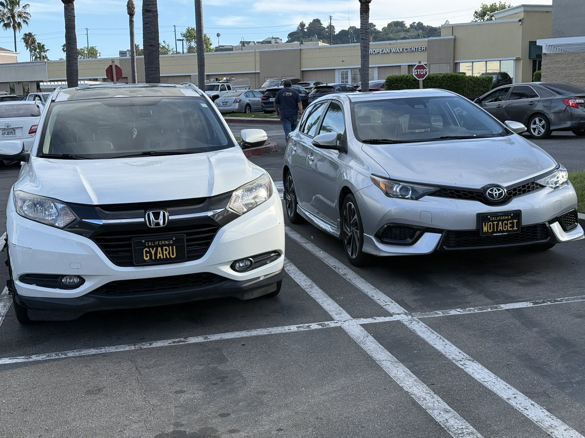 Ravarath 📗🌌 Recorder VTuber tweet media