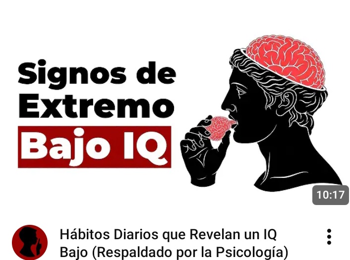 Playmo el Magnífico tweet media