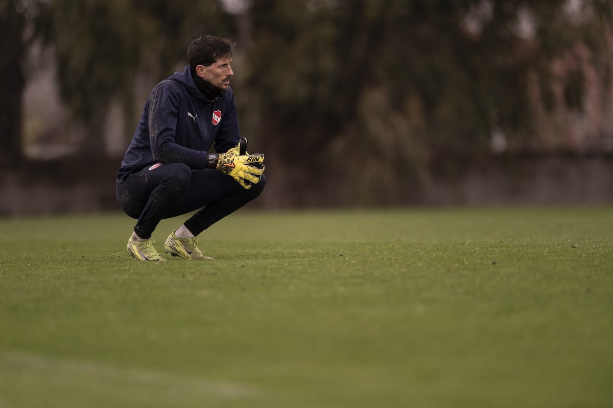 мαятιη tweet media