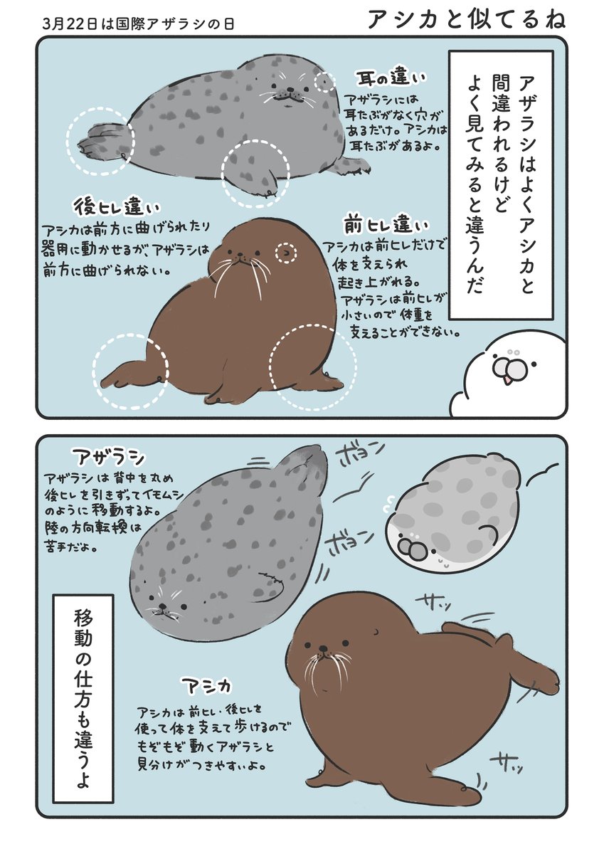 もちたぷあざらし tweet media