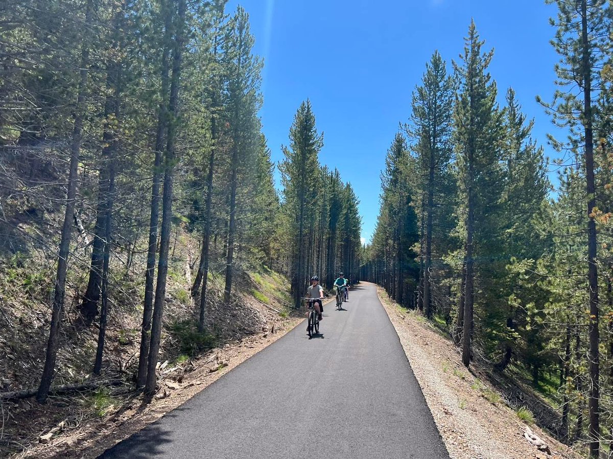 Destination Yellowstone tweet media