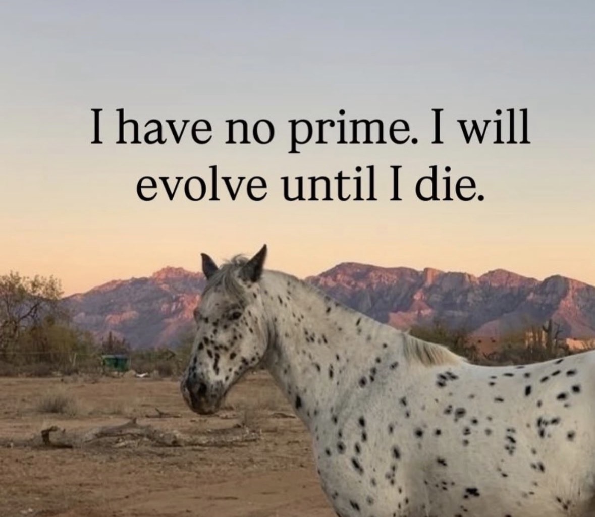 Respectful Memes tweet media