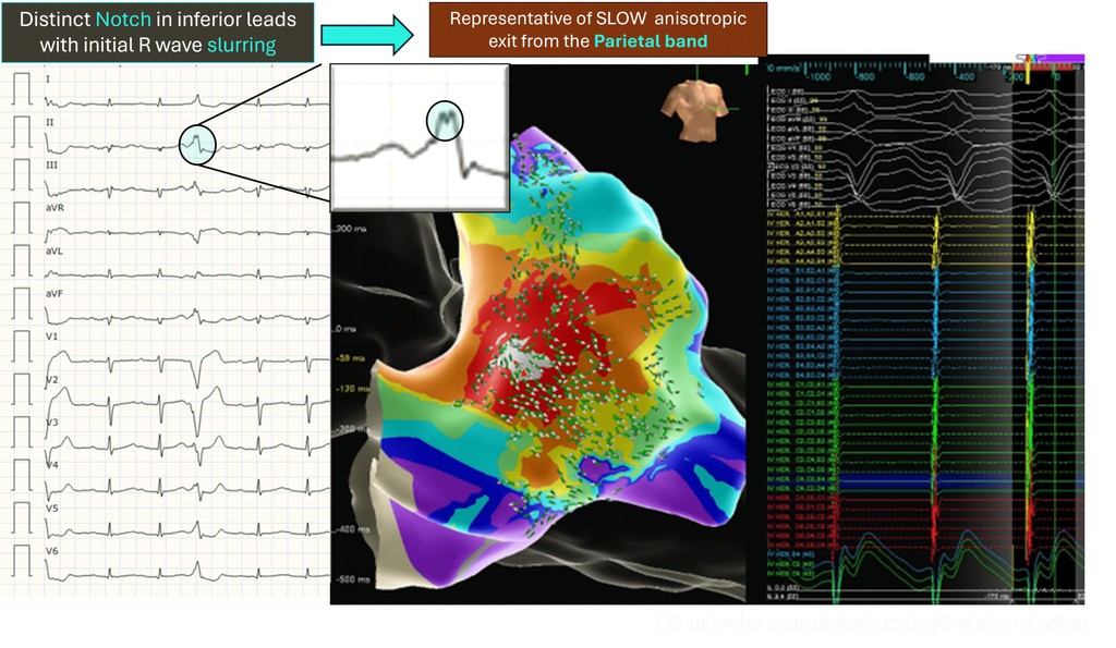 Cardiac Physiology in Practice tweet media