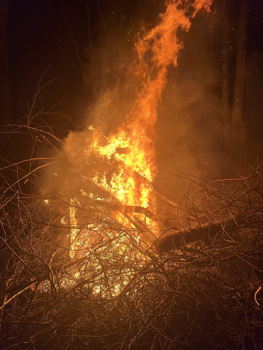 eloniswatching's tweet image. Picked up my wood flooring for the second cabin build out (actual hardwood none of that vinyl faux wood bullshit), finished with another dry aged ribeye with all the sides and another bonfire to end the night. #camping #building