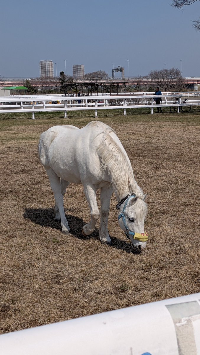 水先じょん子 tweet media