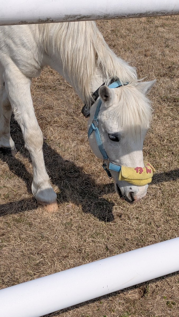 水先じょん子 tweet media