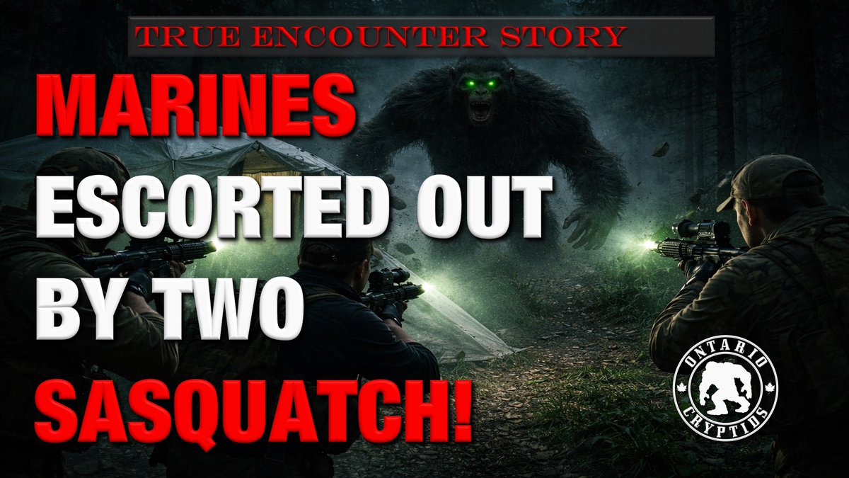 CryptidsOntario's tweet photo. Marines Escorted Out By Two Sasquatch! [EP-311] #cryptids #humaniod #reptilianshapeshifter #sasquatch #marines #storytime https://t.co/BMHOLqnwHk https://t.co/DFfClbxqWe