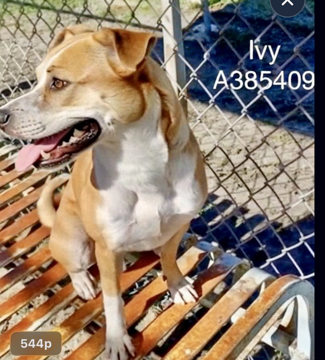 Cheryl Ramirez tweet media