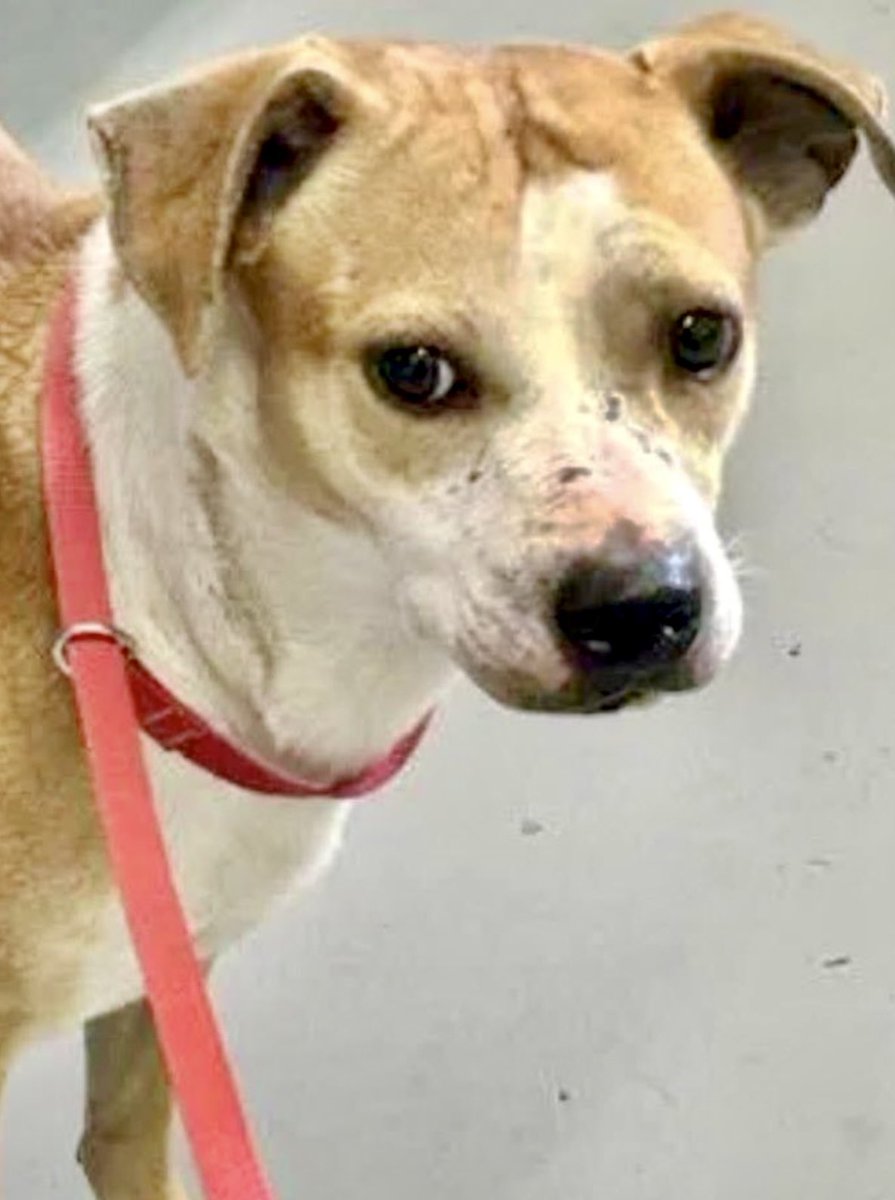 Cheryl Ramirez tweet media