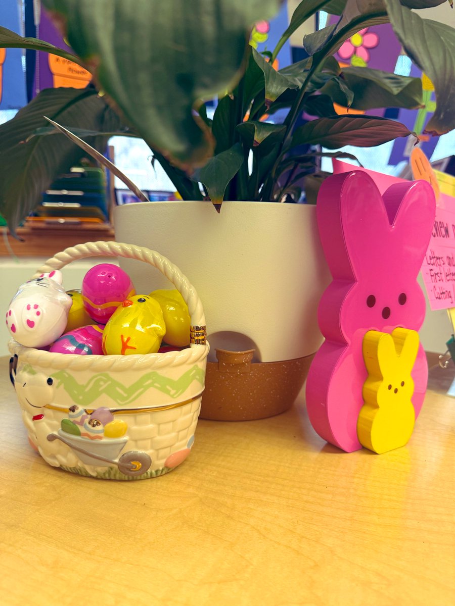 msv430's tweet image. Obsessed 🤩 🐣 🐰 #easter 

@dsmom58 we LOVE you! 🥰 

#clearthelist #BetterTogether #spring #autism 

amazon.com/hz/wishlist/ls…