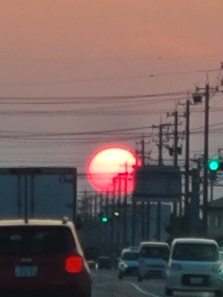 equal29360122's tweet photo. こんなでかい夕陽
びっくりする

#夕陽
#ファインダー
#カメラ https://t.co/Pfbkk28NQO