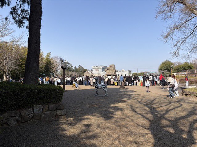 市川市動植物園（公式） tweet media