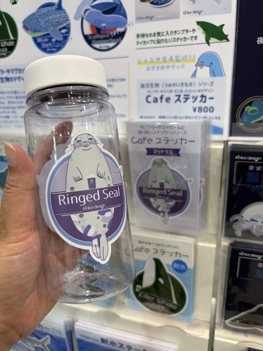 イルカちゃん🐬（キタムラアイ）→デザイナー＆海洋生物専門イラストレーター tweet media