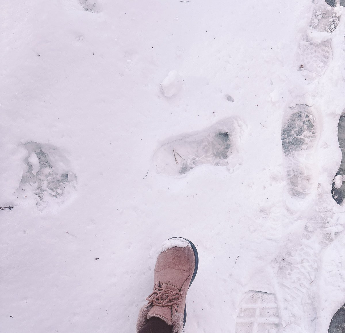 えひな ひか▾ お返事ゆっくり tweet media