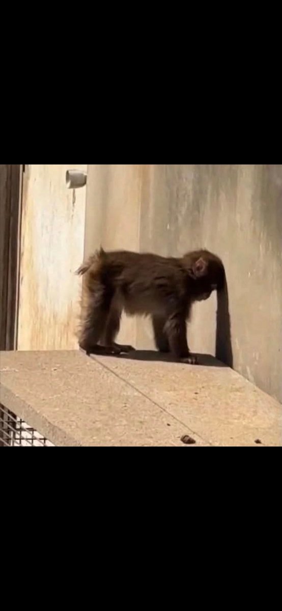 crypto fisher tweet media