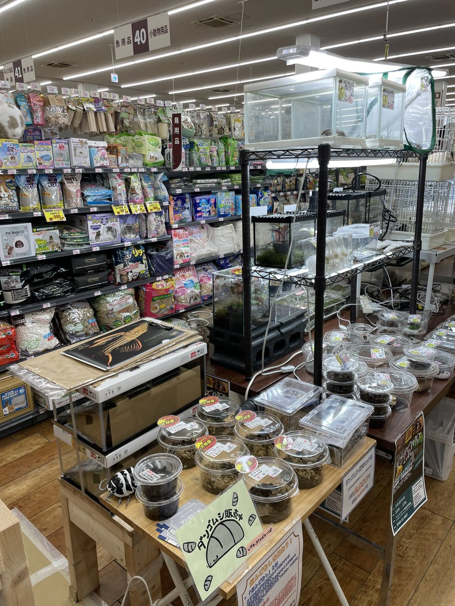 スケール tweet media