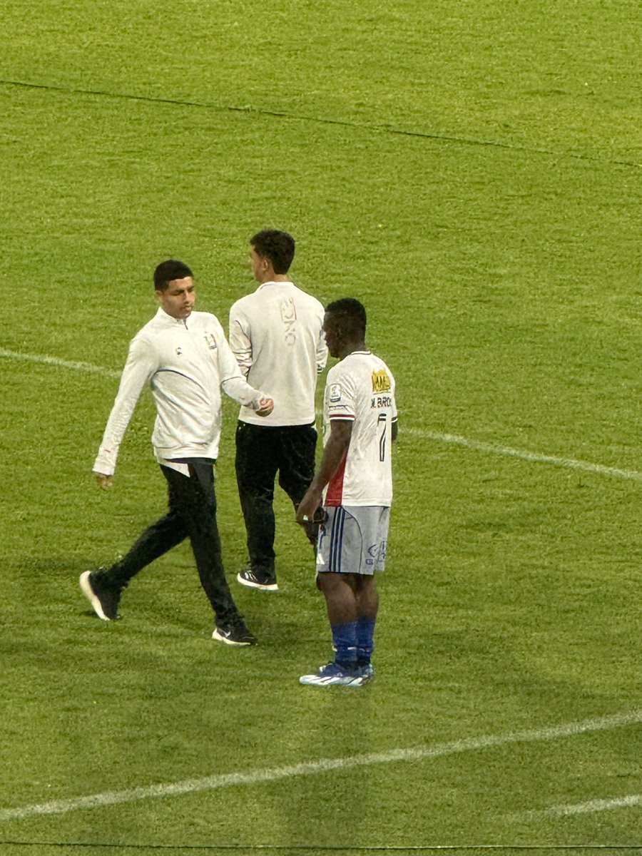 garra.alba tweet media