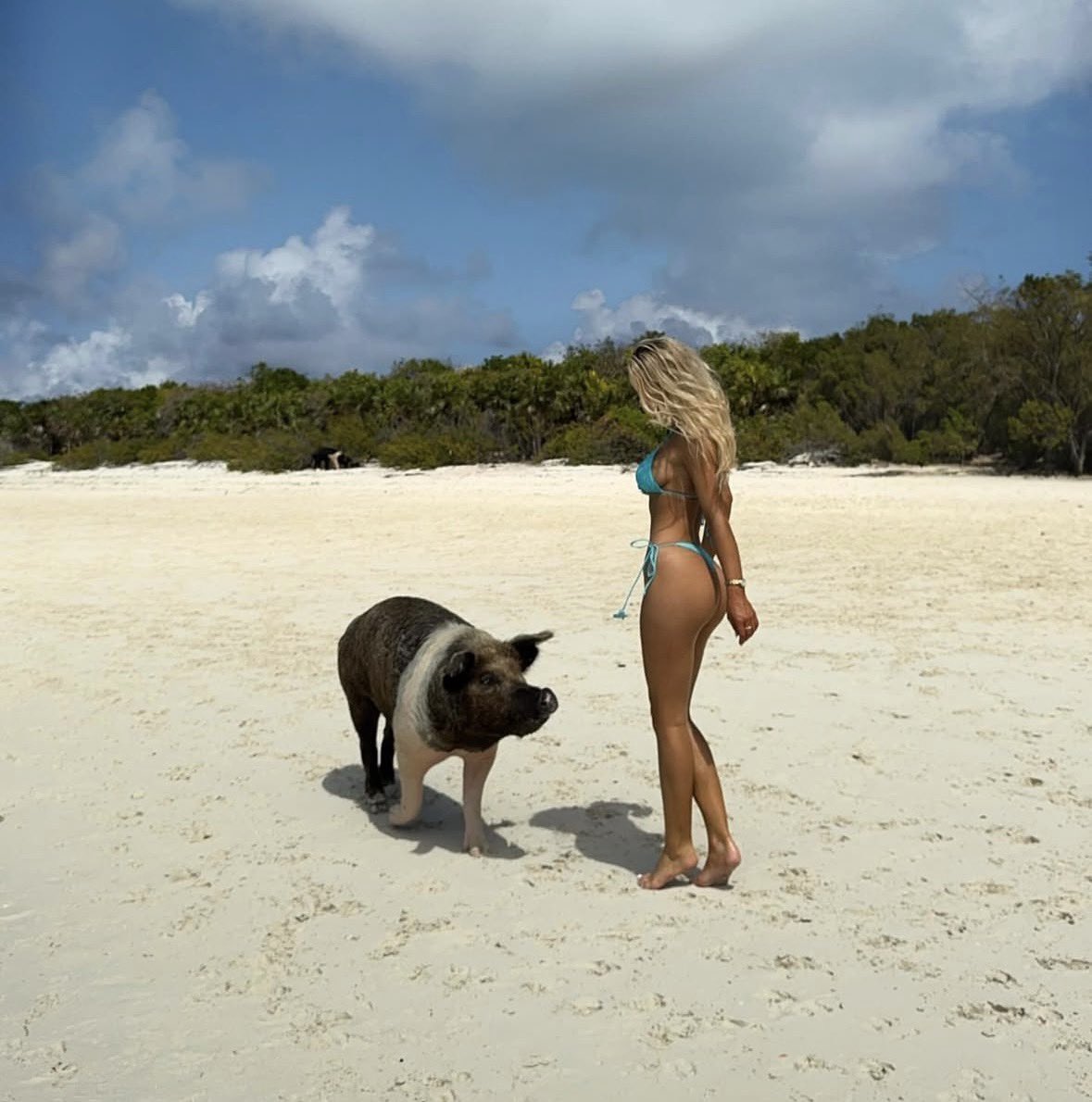 Jerry “The Redraw” Mander tweet media