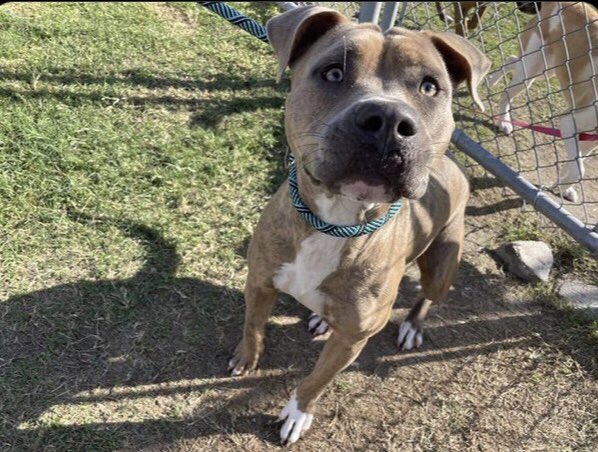 Lisa Brabson. tweet media