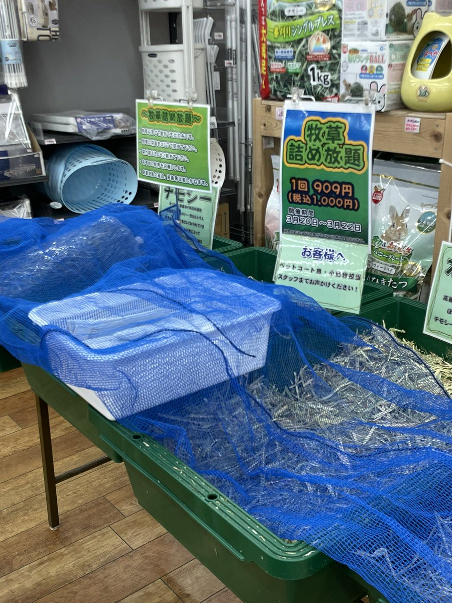 スケール tweet media