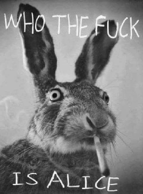 Crypto_Maximaliste tweet media