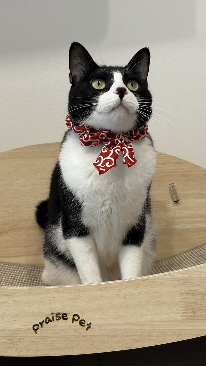 봉구네 김밥이 tweet media