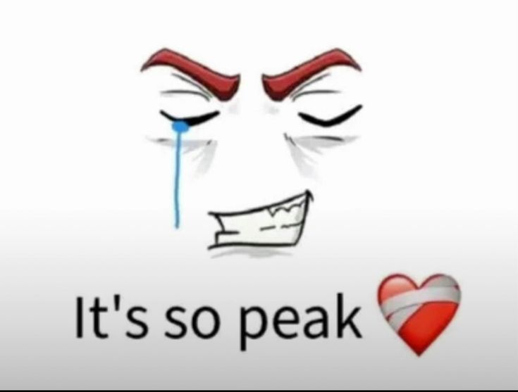 Meicha 🤖 tweet media