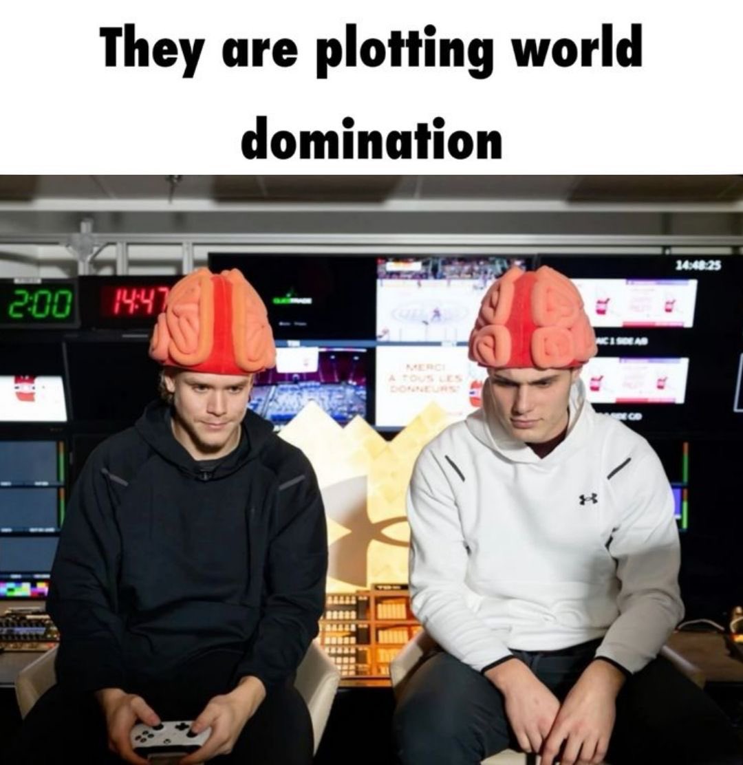 mila²⁰ is mourning slaf’s hair tweet media