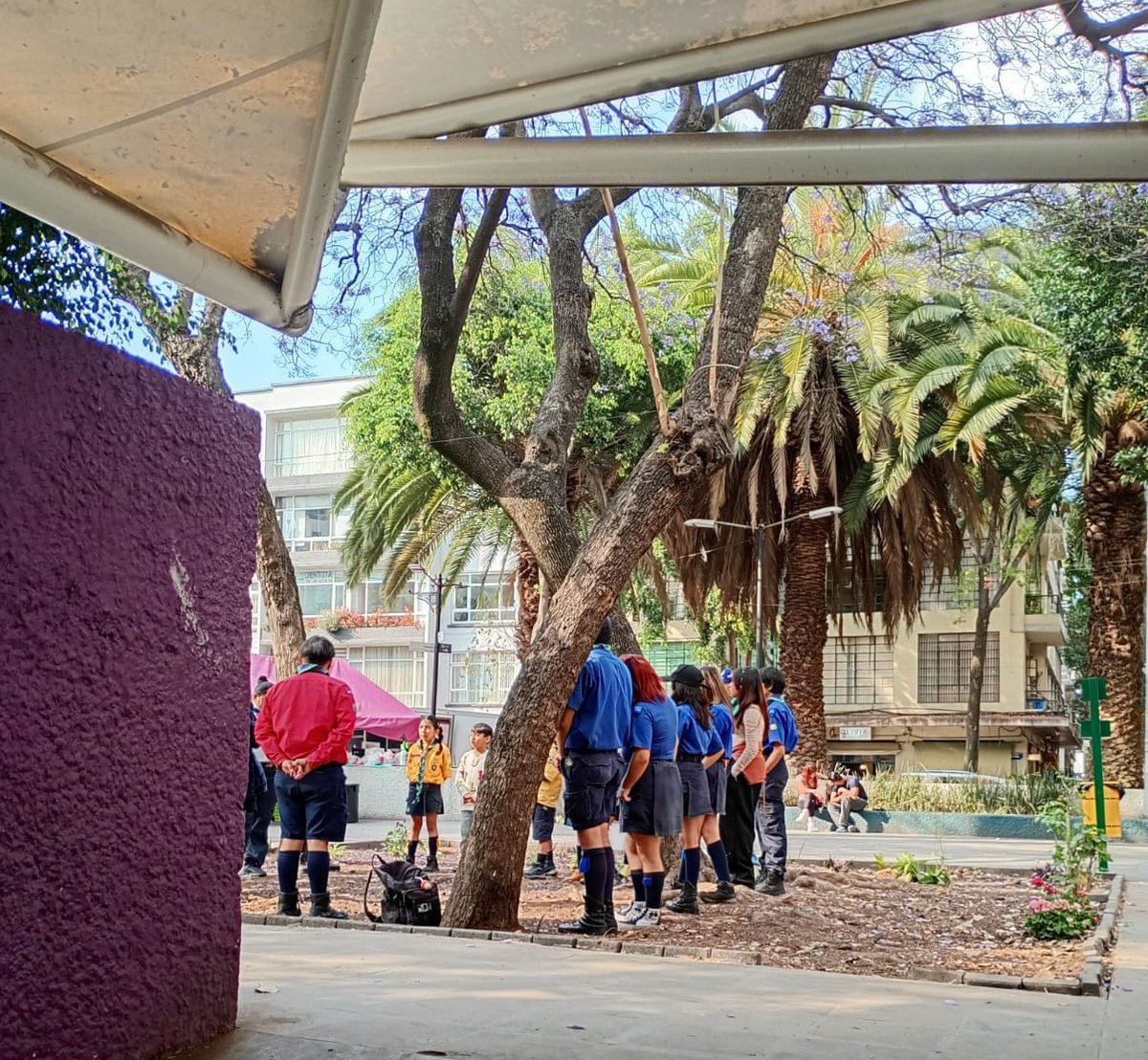 La Colonia Juárez tweet media